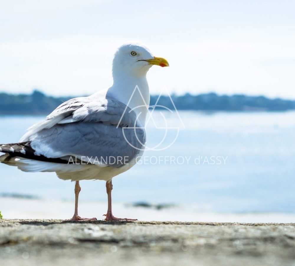 02-22-2016-mon_56ca5003c95ad_eliophot