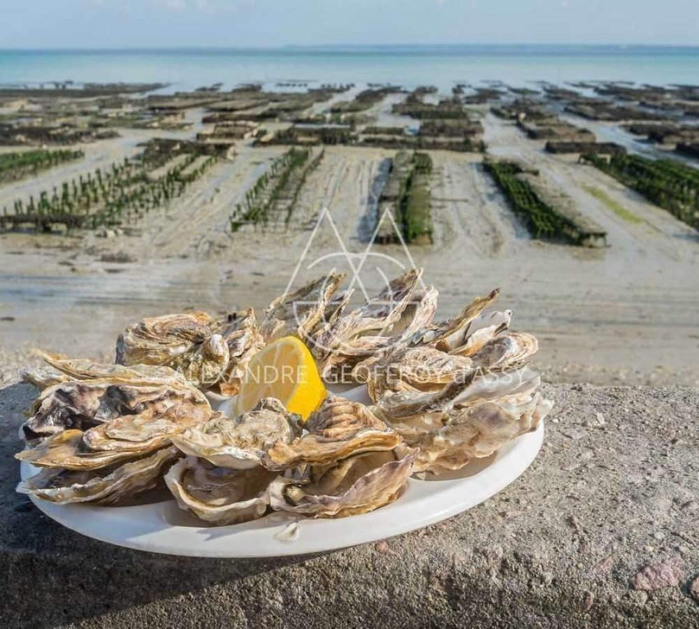 03-24-2016-thu_56f3dcc1c9f81_eliophot