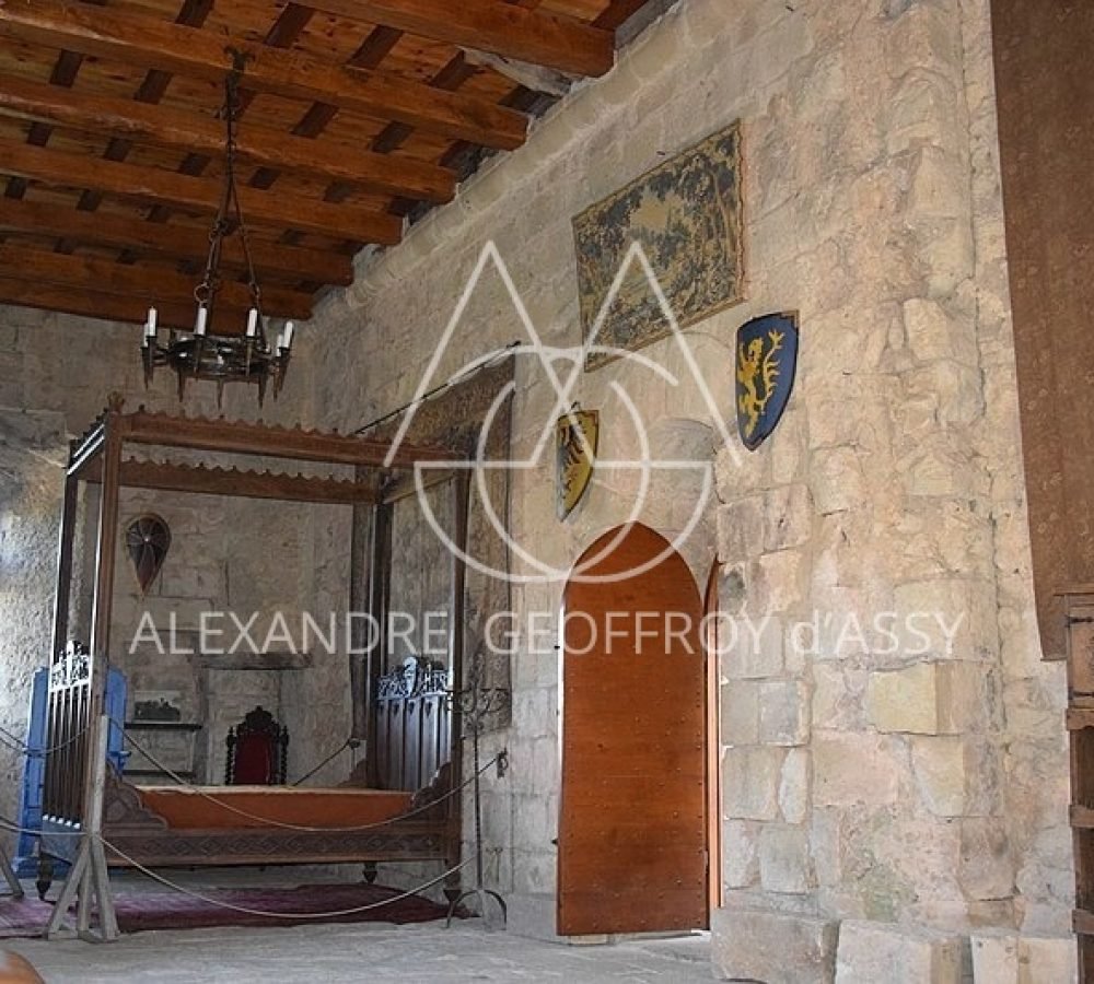 319567-francais-chateau-montreal-ardeche-_-1