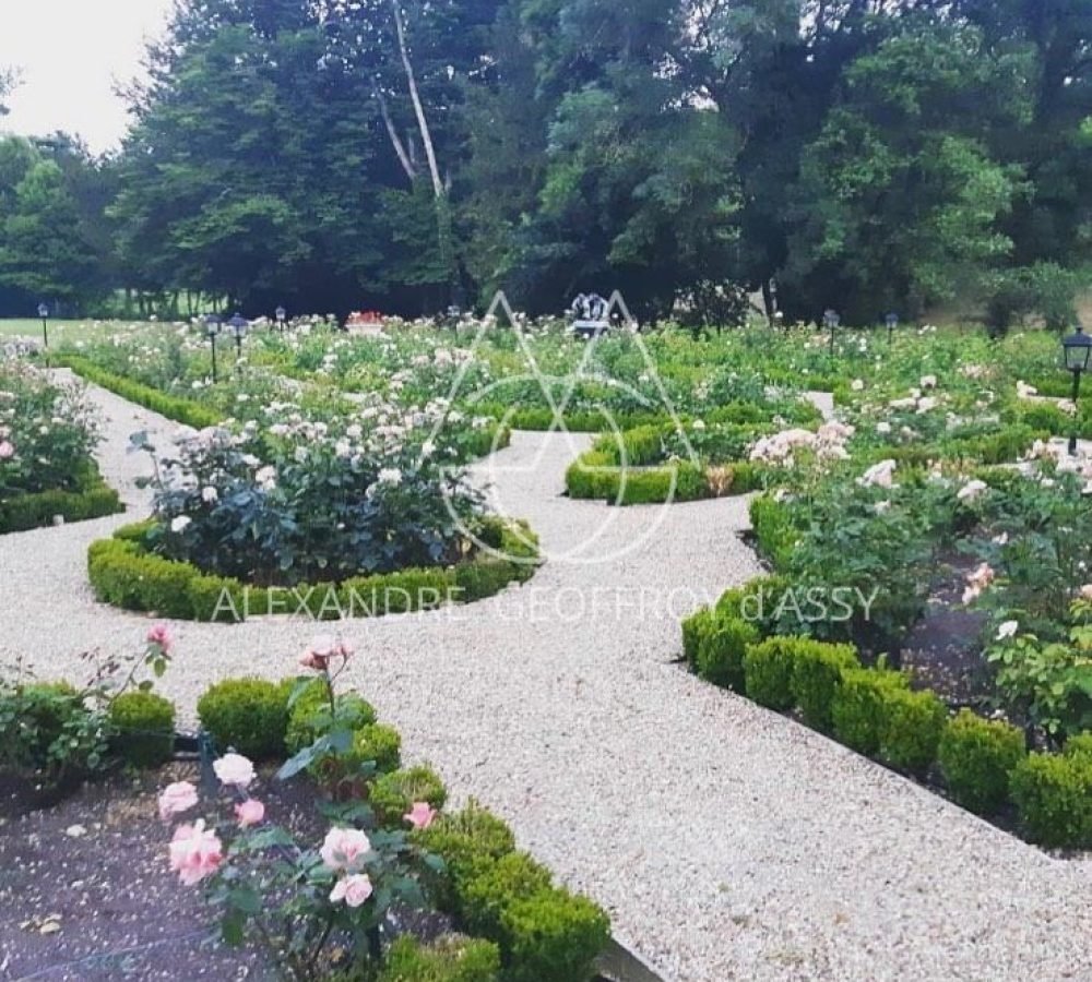 71273803_2725893520778839_3270987083350540288_n