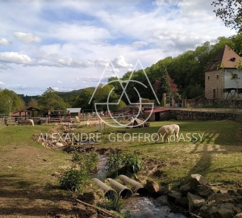 capture_d-ecran_2022-12-09_213929