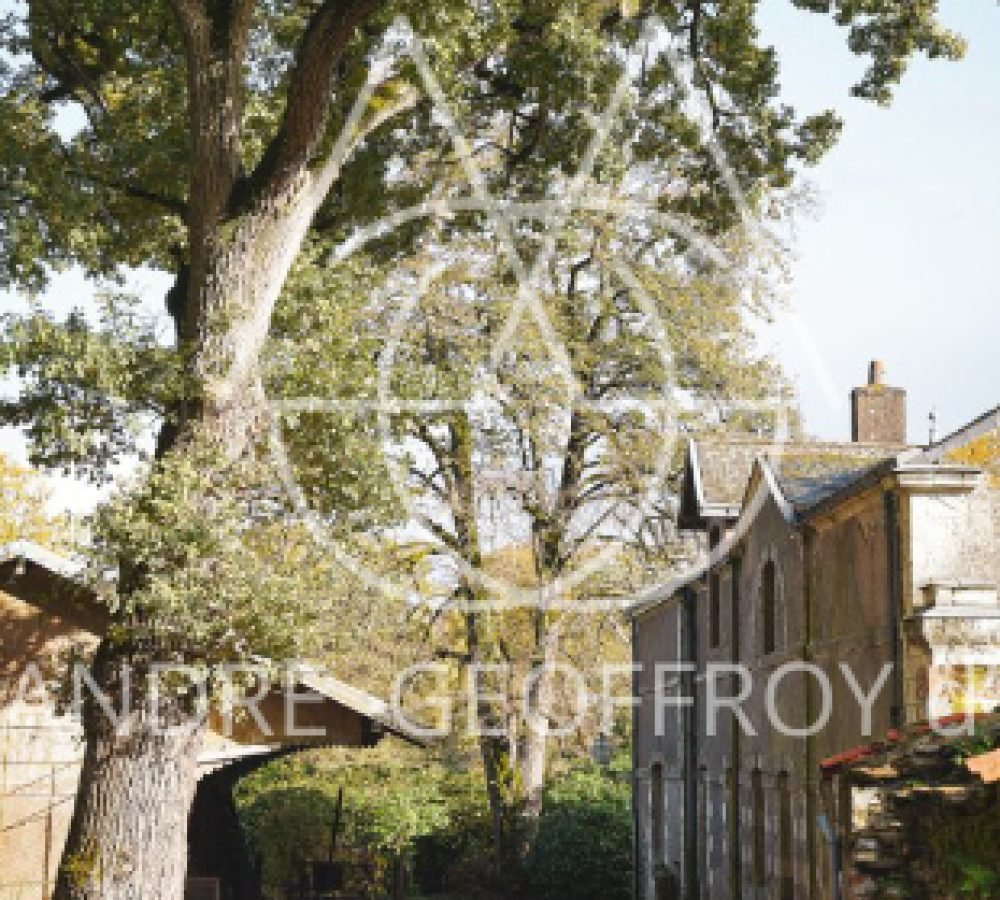 capture_d-ecran_2023-03-27_000518