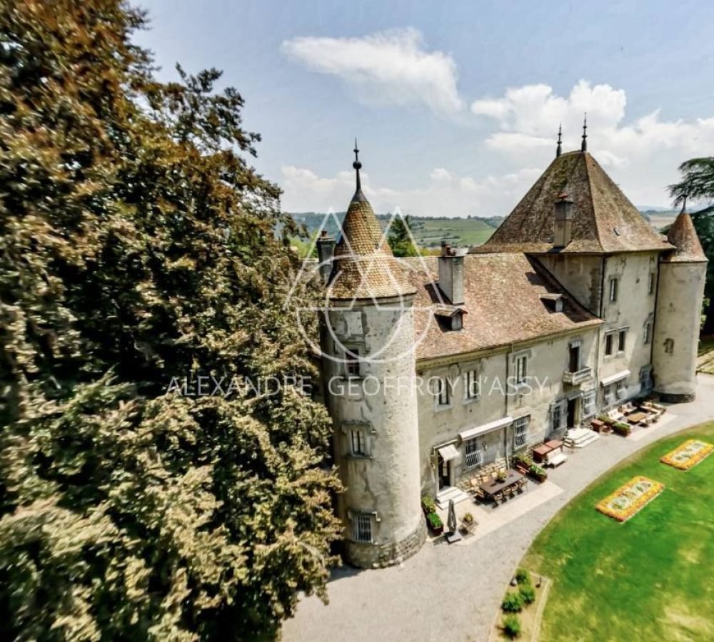 capture_d-ecran_2023-06-30_221732