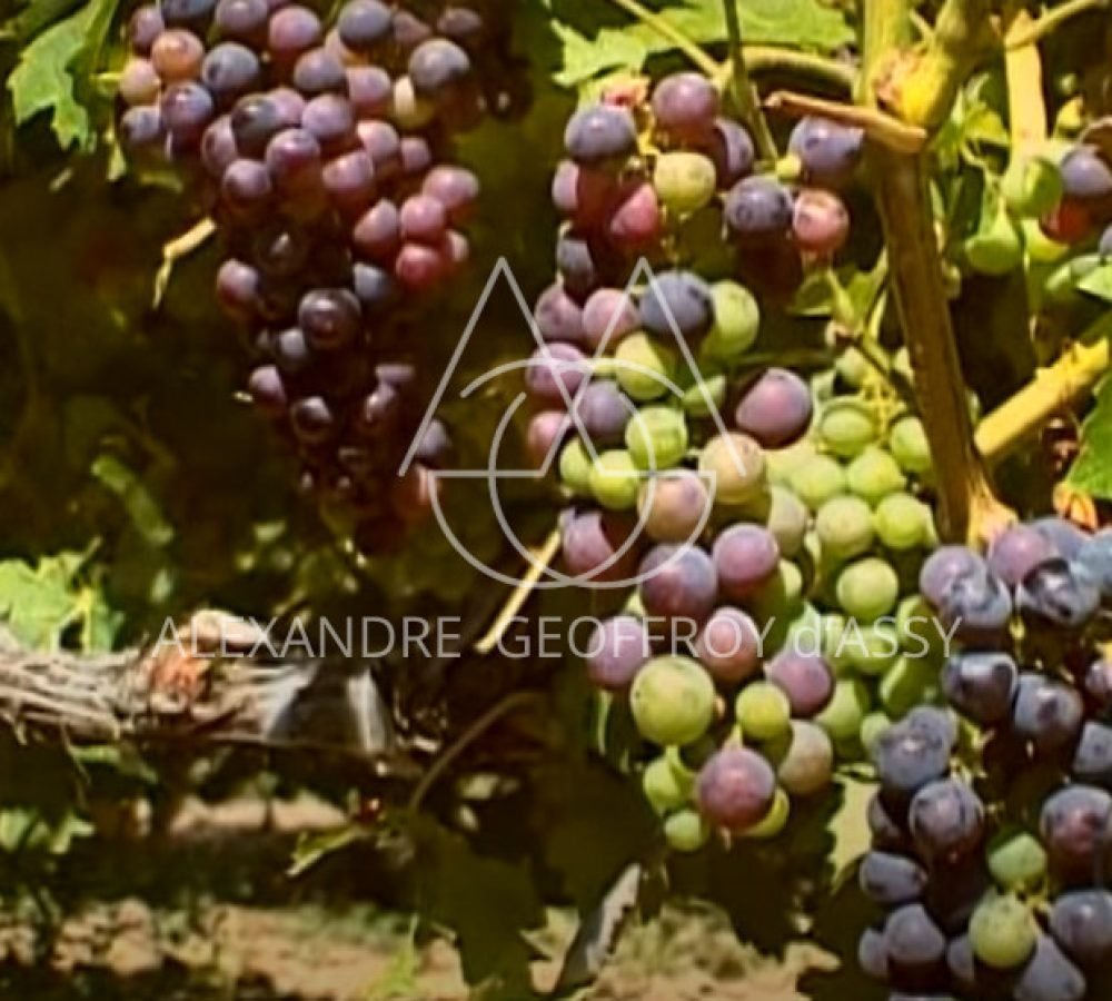 capture_d-ecran_2023-08-29_225258