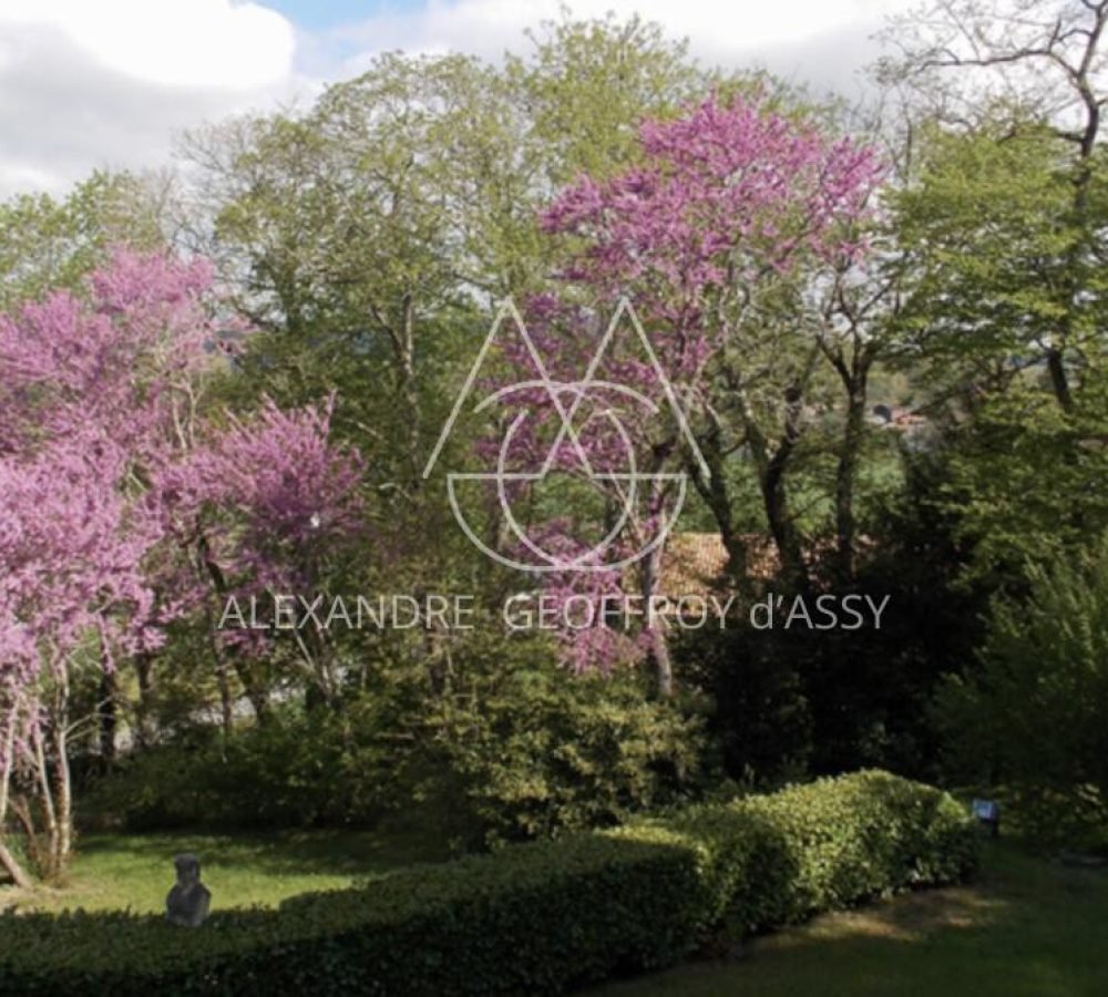 capture_d-ecran_2024-08-03_a_11-42-38