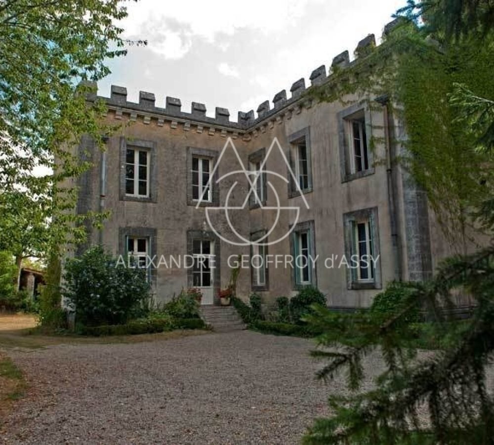 chateau-avec-chien