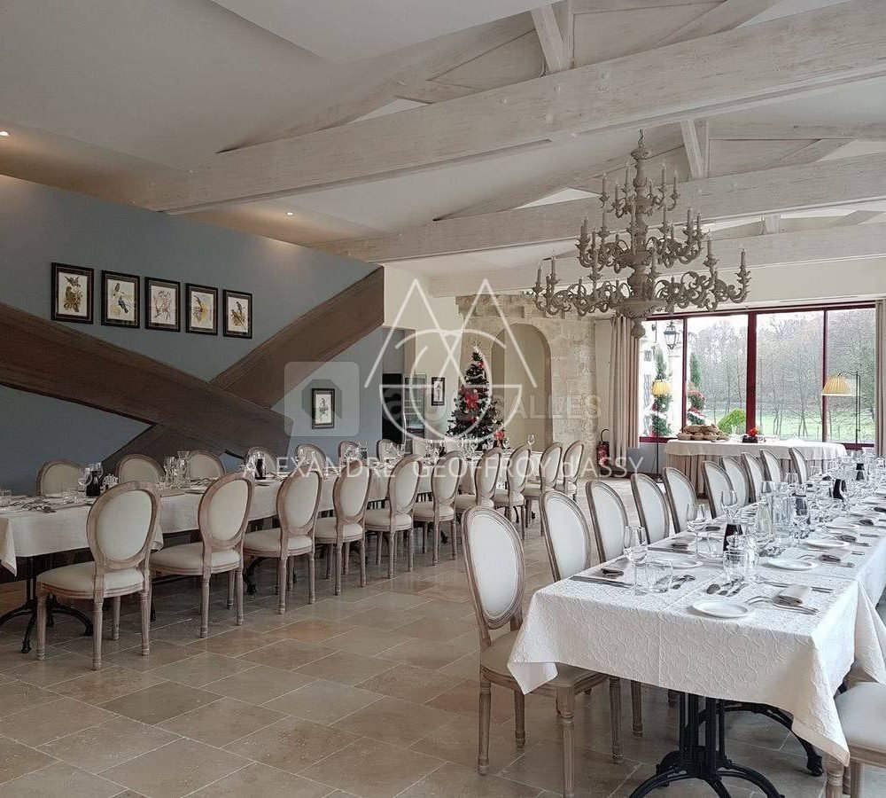 chateau-de-la-roche-ploquin-4