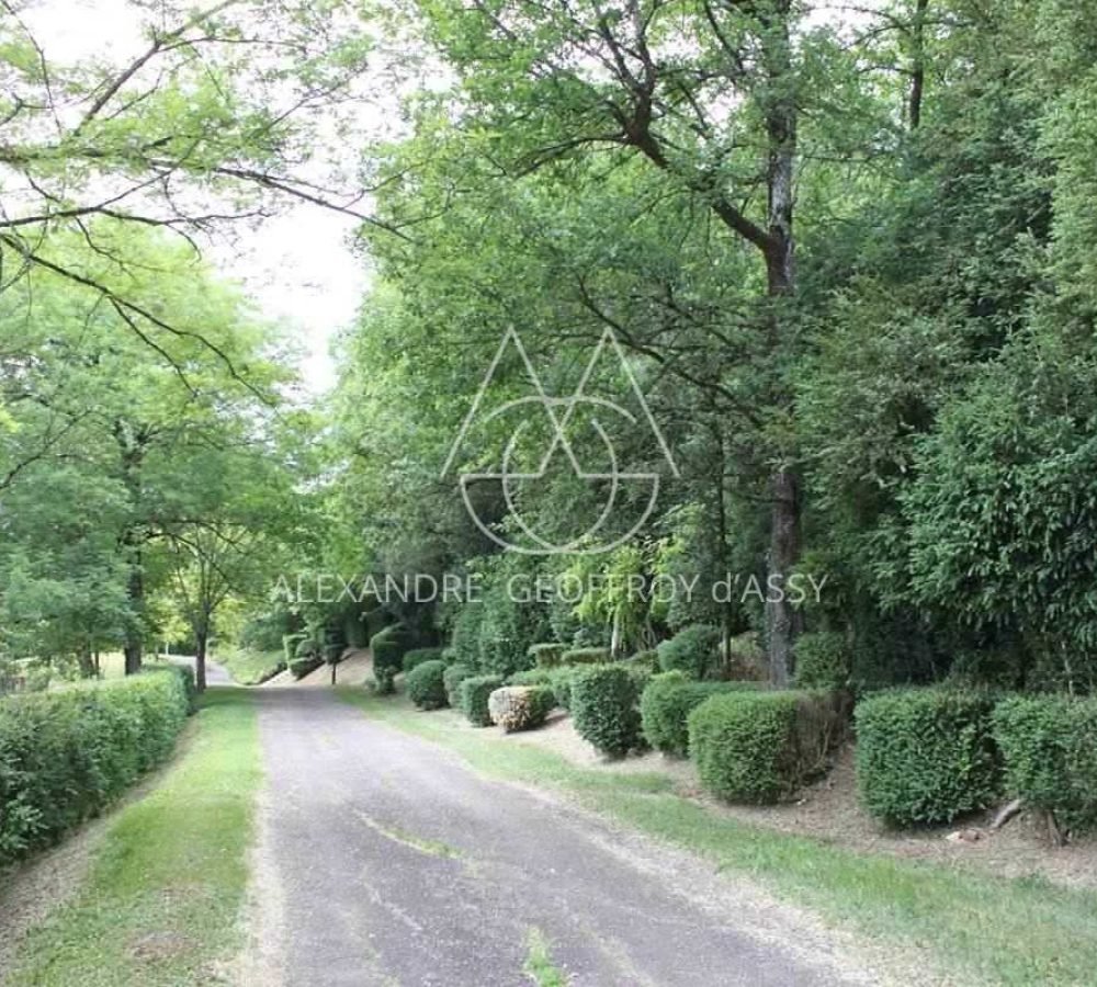 chemin_vers_les_grottes_de_lascaux_a__800m