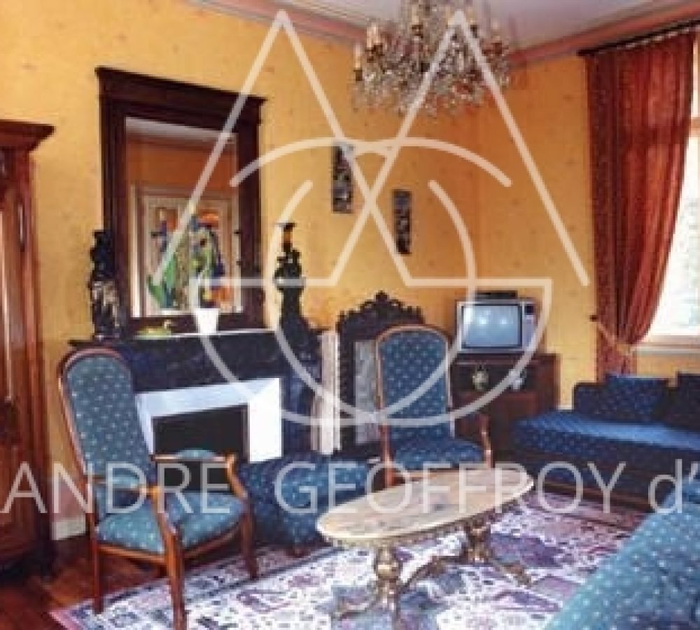 idata_0576594_le-g-te_salon