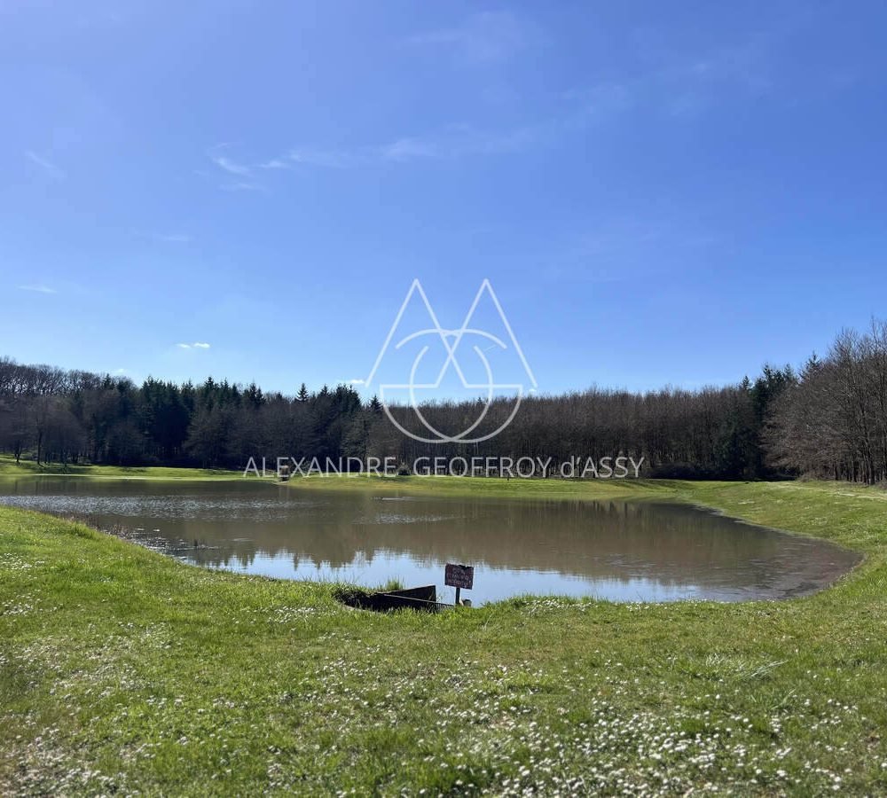 immo_property_media20240403-4086338-1sf7l0o