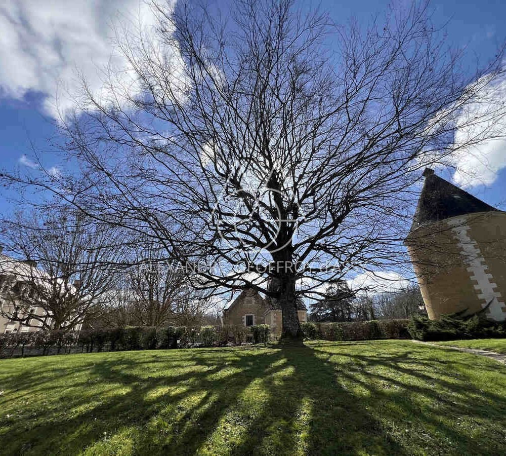 immo_property_media20240403-4086338-wxosy5