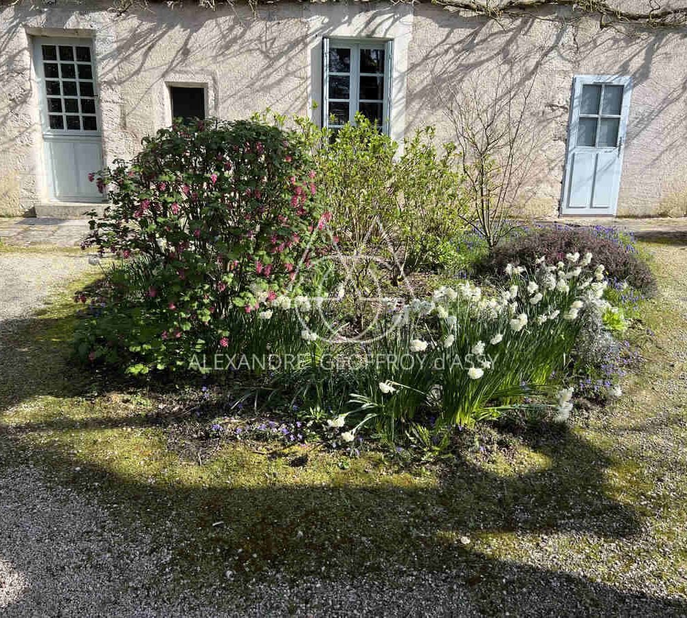 immo_property_media20240403-4088062-1vxkmkh