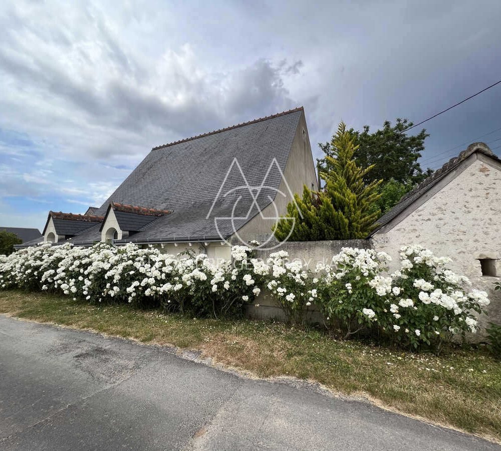 immo_property_media20240403-4088062-jvcdi