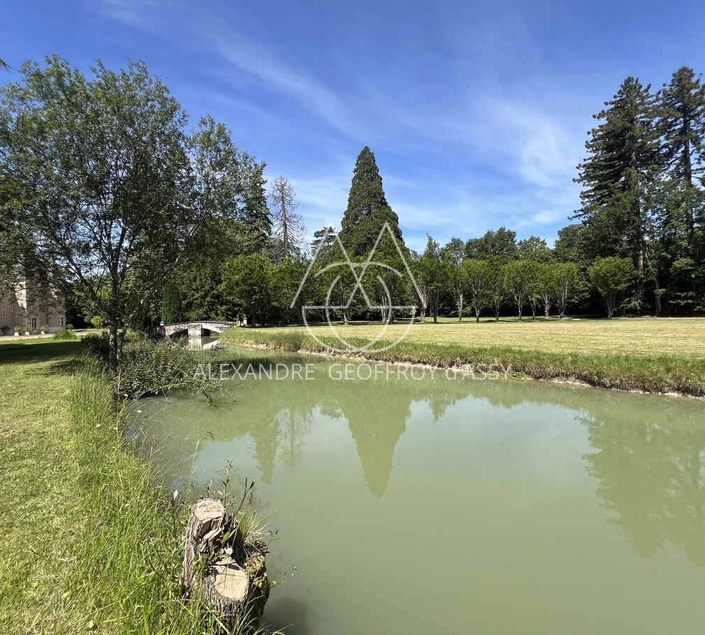 immo_property_media20240604-3896512-dmk1qv