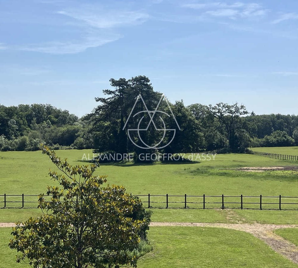 immo_property_media20240604-3896512-jjv8cd