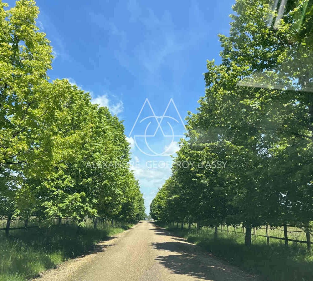 immo_property_media20240604-3896512-o6xlab