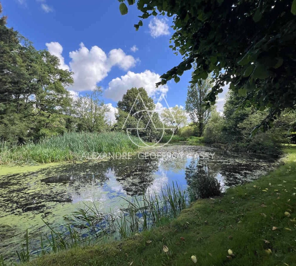 immo_property_media20240620-1815987-ph7b0o