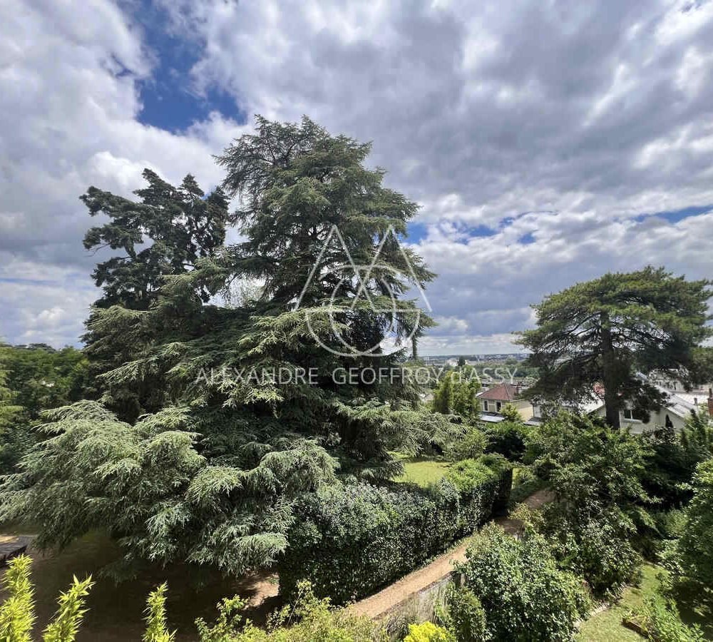 immo_property_media20240718-1374091-1ky74qg