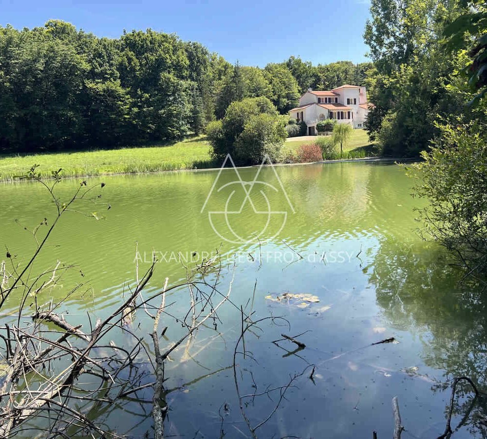 immo_property_media20240726-2572739-1vk18ev