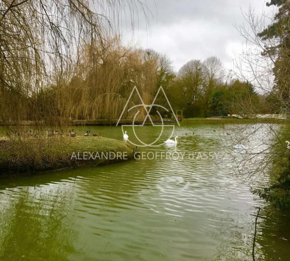 immo_property_media20240908-175242-2c5s9m