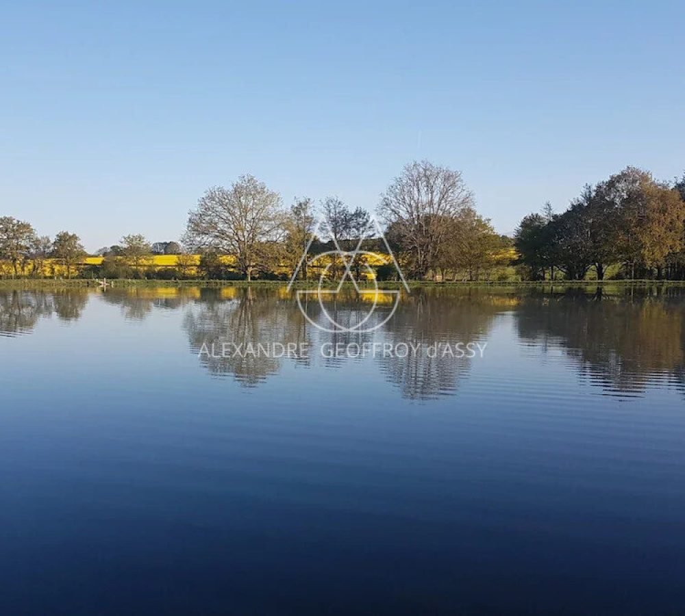 immo_property_media20250331-3687297-c23zo0