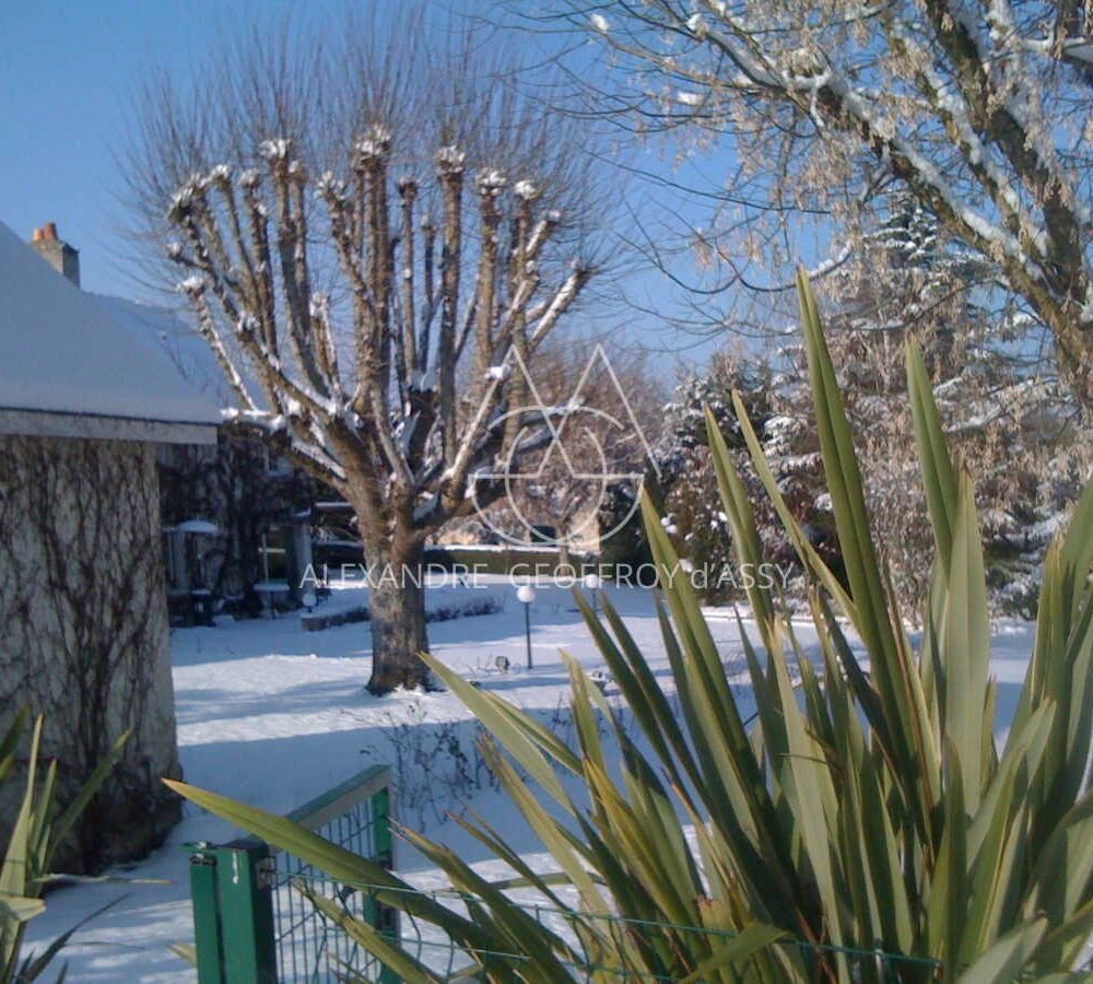 jacassiere_sous_neige_002