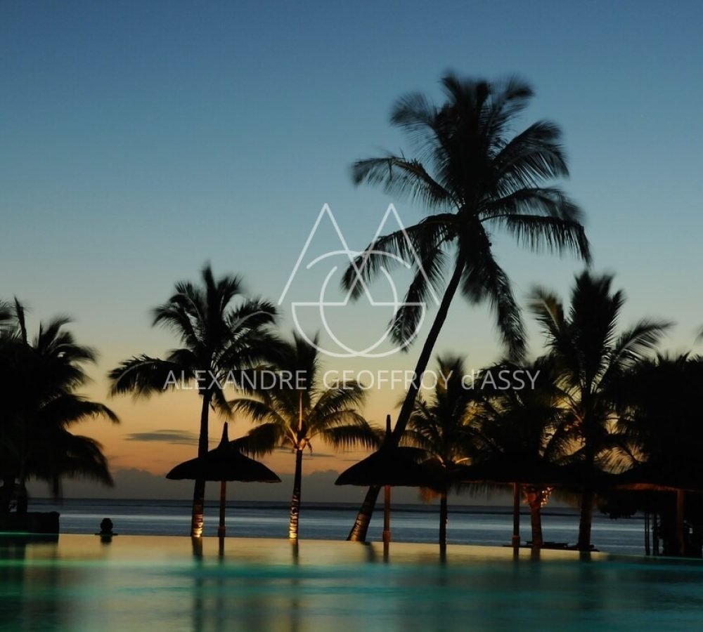 palm-trees-2512497_1920