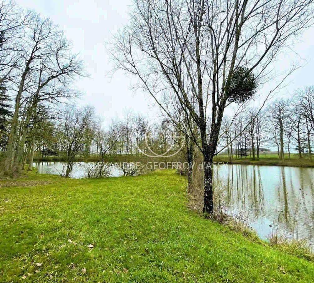 photo_2bf6212c609d5e912a5bc34ad0d4ec22