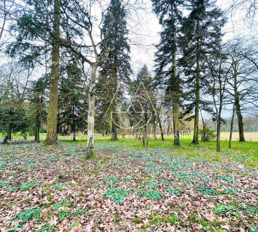 photo_46c3ca0096b674f2f1031ffc89670bd6