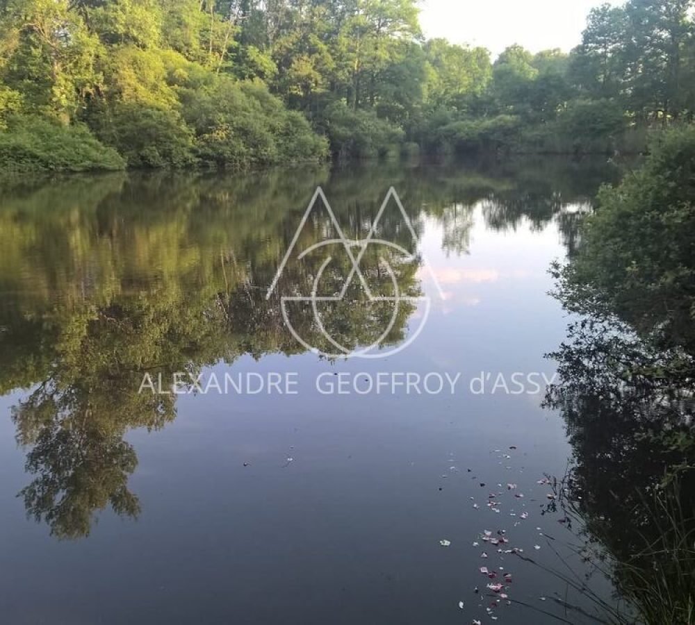 whatsapp_image_2023-06-27_at_09-26-56_-1