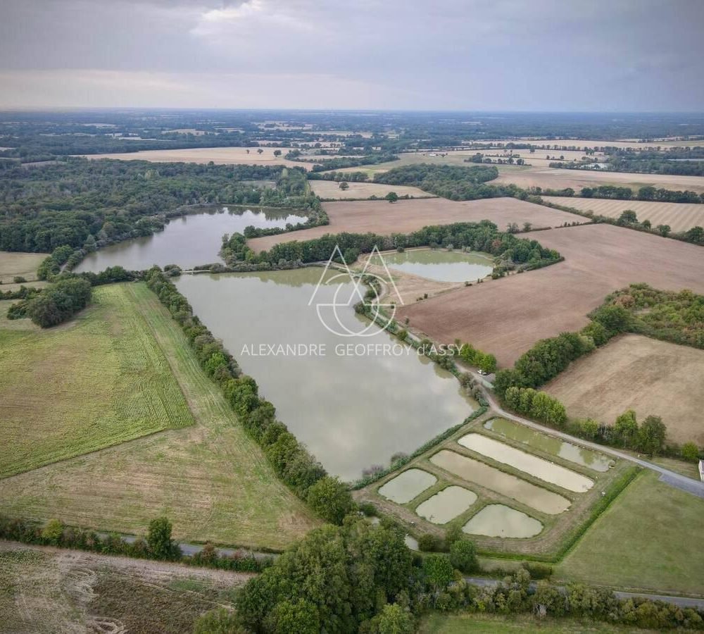 whatsapp_image_2025-09-19_at_09-56-29_-2